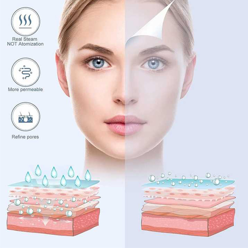 Professional Care Mini Applian – Facial Steamer Nano Bewertung und Preis