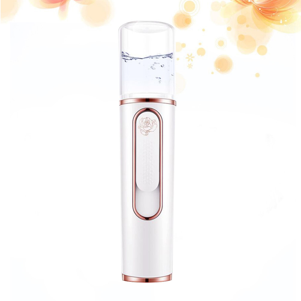 Mini Portable Facial Steamer A – Facial Steamer Nano Bewertung und Preis