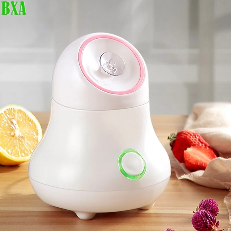 Fruit and Vegetable Facial Ste – Facial Steamer Nano Bewertung und Preis