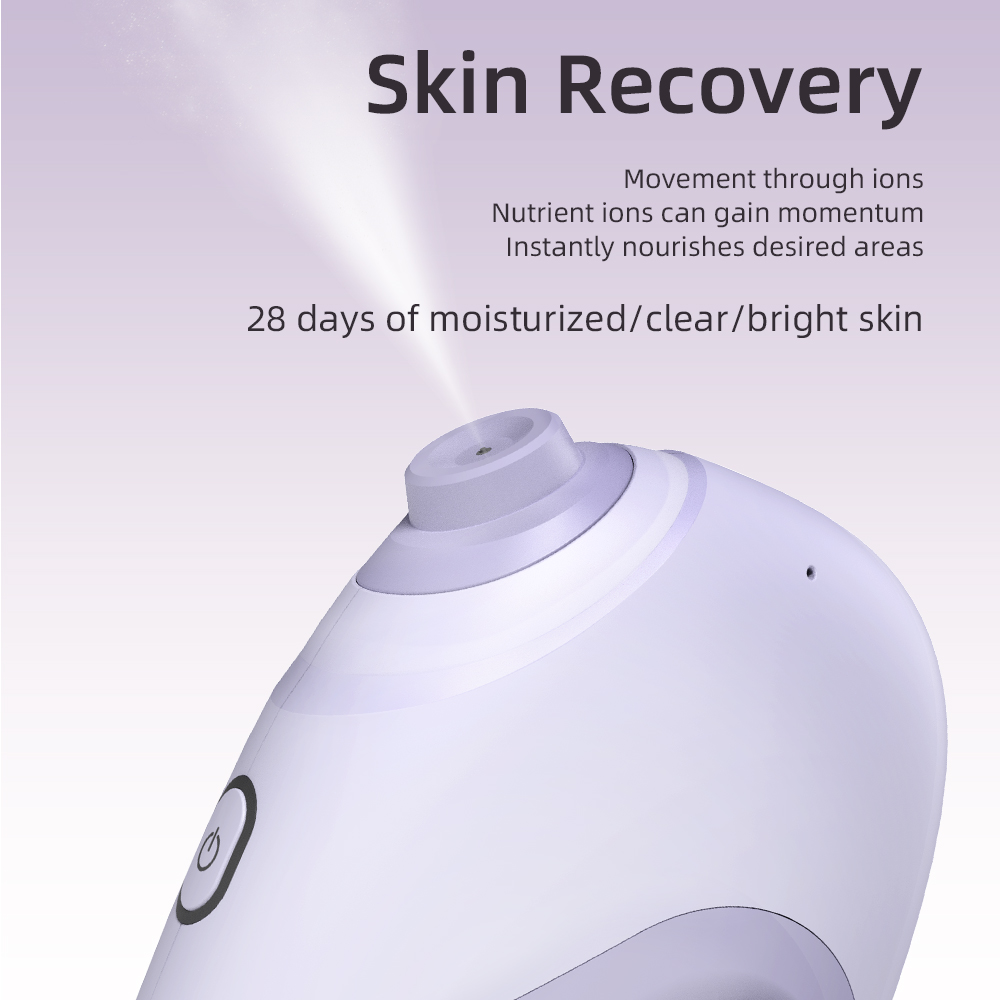 Nano Facial Sprayer Water Stea – Facial Steamer Nano Bewertung und Preis